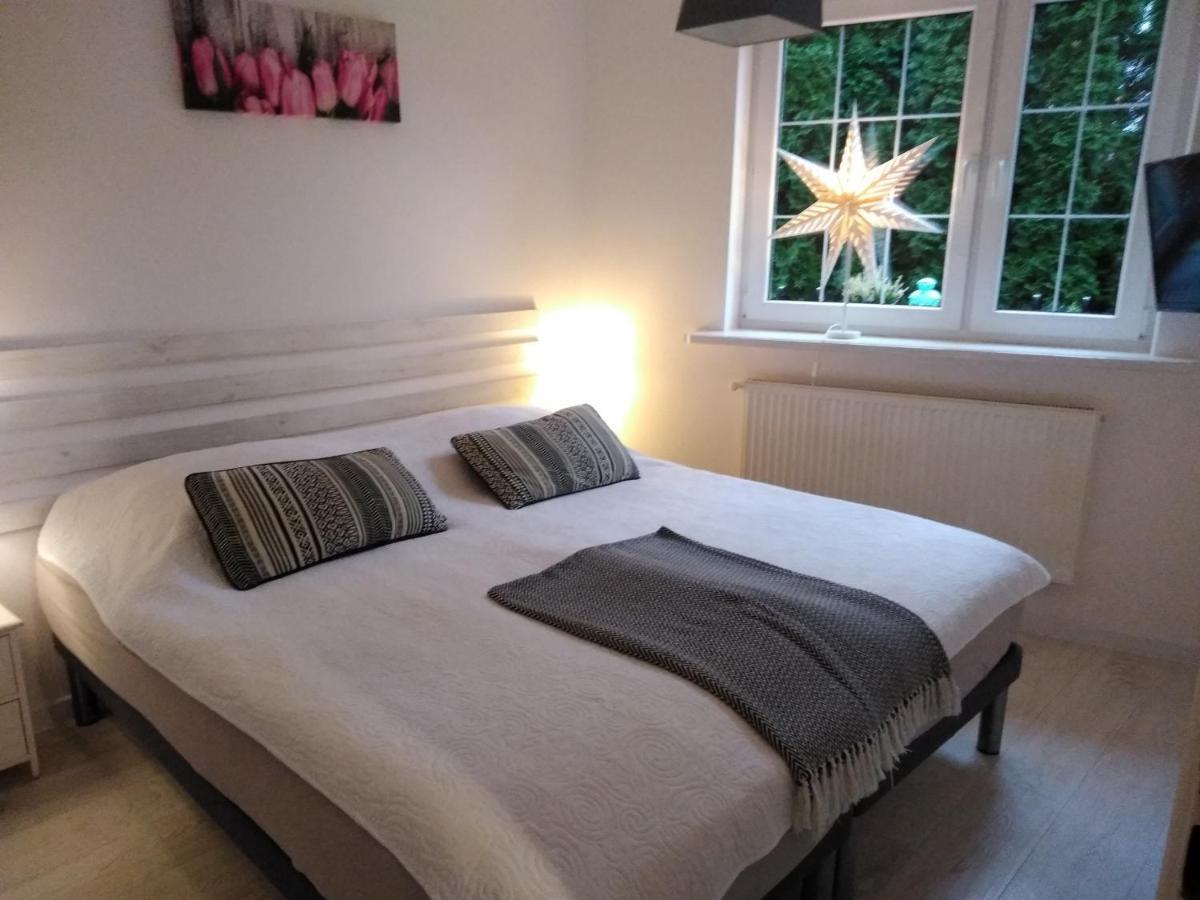 Mizerowka Guest House كودوفا- زدروي المظهر الخارجي الصورة