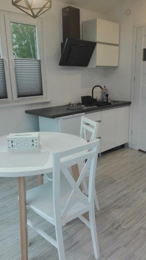 Mizerowka Guest House كودوفا- زدروي المظهر الخارجي الصورة